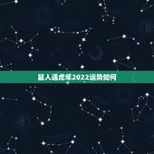 鼠人遇虎年2022运势如何，兔人遇虎年2022运势如何