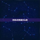 农历6月狗是什么命，为什么狗年忌六月出生