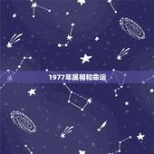 1977年属相和命运，1977年属蛇人的命运怎么样 1977年属蛇人2