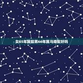 女65年属蛇男66年属马婚配好吗，65年蛇能不能与66年马相配。