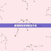 属相狗和羊婚配合不合，属相婚配狗和羊相配吗？