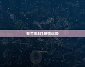金牛男8月感情运势，金牛座男金牛座男运势2014年8月份的爱情