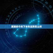 属猪的今年下半年运势怎么样，属猪2022 下半年横财运