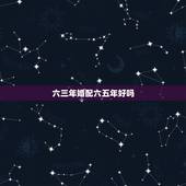 六三年婚配六五年好吗，六零年的和六三年的属相配对好吗