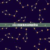 2022年属兔的运势和财运，2021年属兔的运势和财运