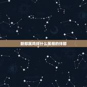 新郎属鸡找什么属相的伴郎，新娘属鸡 新郎属狗 应该找什么属相的伴娘和伴