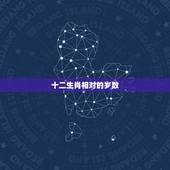 十二生肖相对的岁数，十二生肖与年龄的排序？