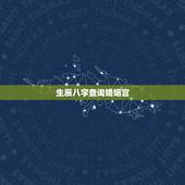 生辰八字查询婚姻宫，免费生辰八字测算
