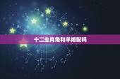 十二生肖兔和羊婚配吗，属相婚配：男属兔和女属羊相配吗