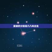 属猪的分别是几几年出生，属猪的是198几年出生的？