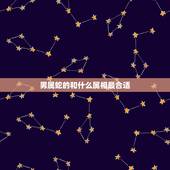 男属蛇的和什么属相最合适，男属蛇的和什么属相最配