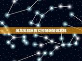 属羊男和属狗女相配吗婚姻怎样，男属羊女属狗婚姻解析