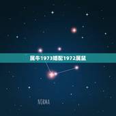 属牛1973婚配1972属鼠，1972年属鼠女和1973年属鼠牛男相配