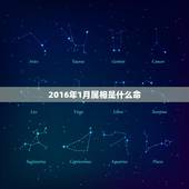 2016年1月属相是什么命，2015年1月出生的属什么命运