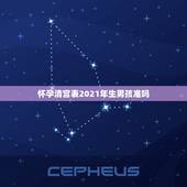 怀孕清宫表2021年生男孩准吗，2021清宫表生男生女图准确度高吗？