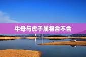 牛母与虎子属相合不合，牛与兔的生肖合得来吗？