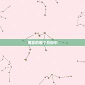 属鼠的哪个月份中，属鼠的今年适合买吗
