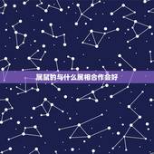 属鼠的与什么属相合作会好，属鼠的与什么属相的人合作最佳