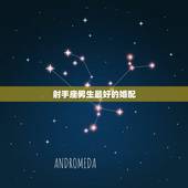 射手座男生最好的婚配，最适合与射手座结婚的星座有哪些？