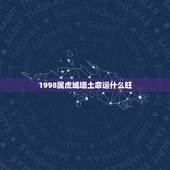 1998属虎城墙土命运什么旺，1998年城墙土命详解