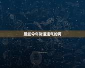 属蛇今年财运运气如何，属蛇男今年的运势如何