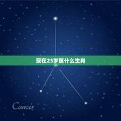 现在25岁属什么生肖，2022 年25岁属什么生肖