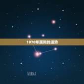 1970年属狗的运势，1970年出生的属狗人哪一年财运好