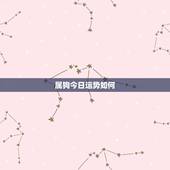 属狗今日运势如何，属狗今日运势每日更新
