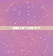 家中龙马鼠三个属相合不合，家里有这三个属相，鼠，龙，猴好不好