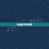 生肖鼠今年运势，属鼠今年财运