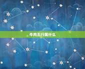 牛肉五行属什么，牛肉猪肉所属五行