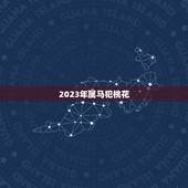 2023年属马犯桃花，属马的今年犯桃花？