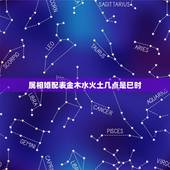 属相婚配表金木水火土几点是巳时，关于属相和金木水火土的婚配问题