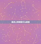 属虎上等婚配什么属相，属虎的属相婚配表