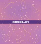 测试你靠啥嫁入豪门，我靠拖延症嫁入豪门