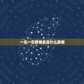 一左一右数相反是什么属相，[今期生肖头还绿，一左一右数相反]猜一个数字