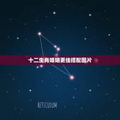 十二生肖婚姻更佳搭配图片，婚姻配对属相表