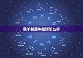 属羊和属牛结婚怎么样，属牛和属羊的人能结婚吗，