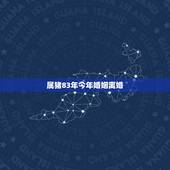 属猪83年今年婚姻离婚，两个83年属猪的会离婚吗
