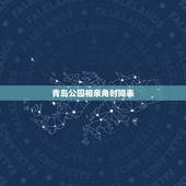 青岛公园相亲角时间表，周六相亲角除了周六下午，其他时间还有活动么？