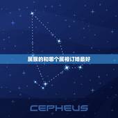 属猴的和哪个属相订婚最好，属猴的最好配什么属相的情侣