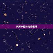农历十月的狗命很好，十月的狗的命运怎么样