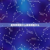 属狗男婚配什么属相忌配什么，属狗配什么属相