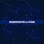 老鼠最害怕的声音mp3声驱鼠，凶猛的猫吃老鼠的叫声
