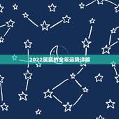 2022属鼠的全年运势详解，2022属猪的全年运势详解