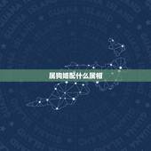 属狗婚配什么属相，女属狗的属相婚配表
