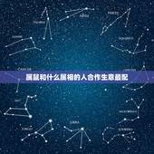 属鼠和什么属相的人合作生意最配，属鼠和什么属相合伙经营最配
