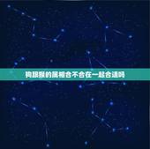 狗跟猴的属相合不合在一起合适吗，猴和狗婚姻搭配吗