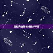 鼠和狗的属相婚配好不好，属鼠和属狗的配吗？