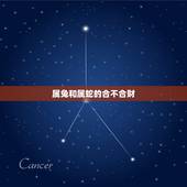 属兔和属蛇的合不合财，属兔和属蛇的夫妻结局